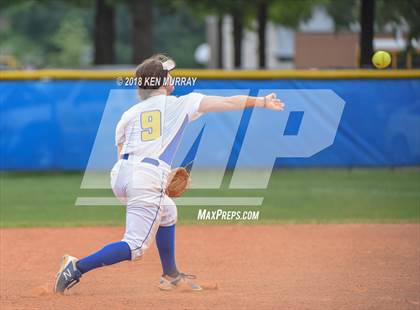 Thumbnail 1 in Klein Oak vs Klein photogallery.