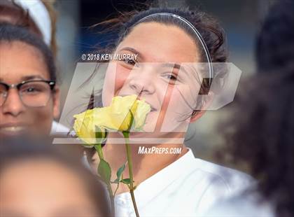 Thumbnail 2 in Klein Oak vs Klein photogallery.