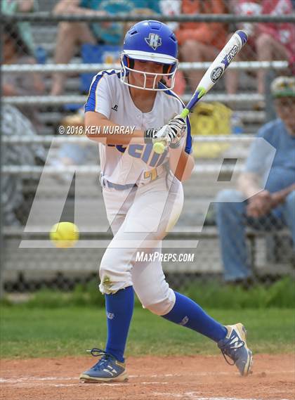 Thumbnail 1 in Klein Oak vs Klein photogallery.