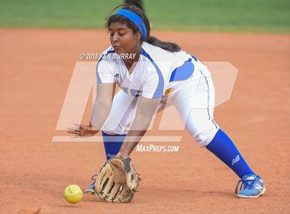 Thumbnail 3 in Klein Oak vs Klein photogallery.