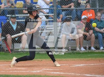 Thumbnail 1 in Klein Oak vs Klein photogallery.
