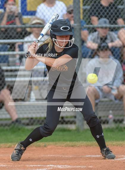 Thumbnail 2 in Klein Oak vs Klein photogallery.