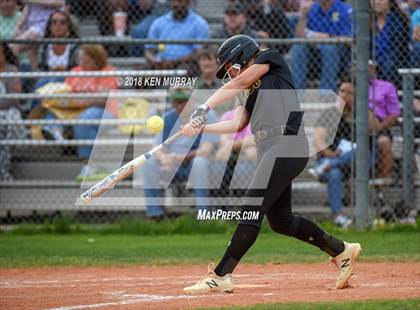 Thumbnail 2 in Klein Oak vs Klein photogallery.