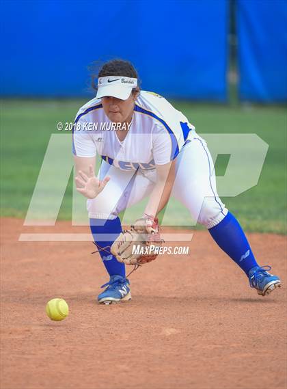Thumbnail 2 in Klein Oak vs Klein photogallery.