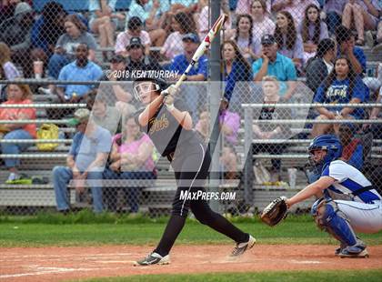 Thumbnail 3 in Klein Oak vs Klein photogallery.