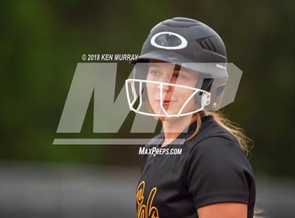 Thumbnail 2 in Klein Oak vs Klein photogallery.