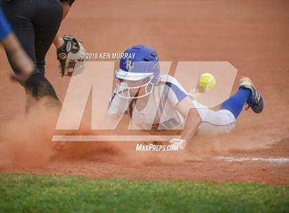 Thumbnail 1 in Klein Oak vs Klein photogallery.