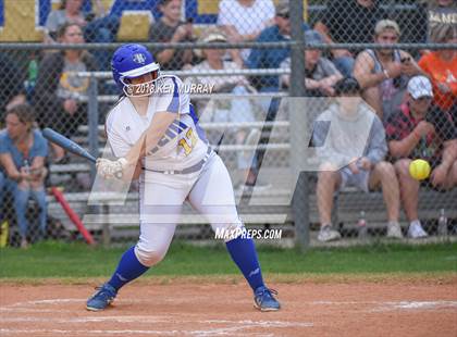 Thumbnail 1 in Klein Oak vs Klein photogallery.