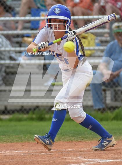 Thumbnail 2 in Klein Oak vs Klein photogallery.