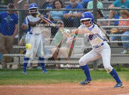 Thumbnail 3 in Klein Oak vs Klein photogallery.
