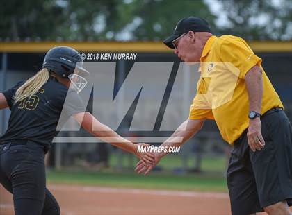 Thumbnail 1 in Klein Oak vs Klein photogallery.