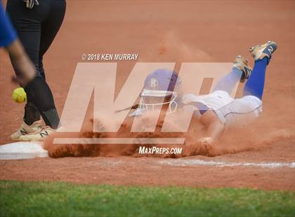 Thumbnail 1 in Klein Oak vs Klein photogallery.