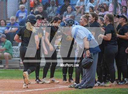 Thumbnail 1 in Klein Oak vs Klein photogallery.