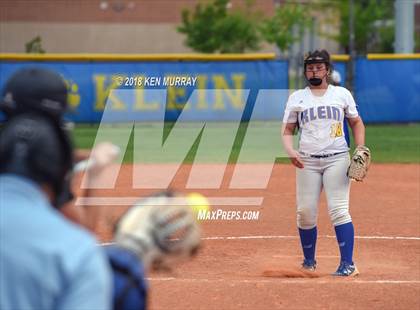 Thumbnail 2 in Klein Oak vs Klein photogallery.