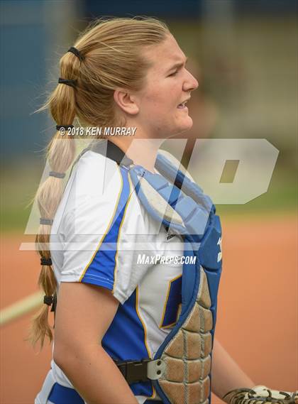 Thumbnail 1 in Klein Oak vs Klein photogallery.