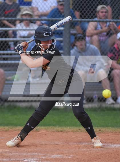 Thumbnail 1 in Klein Oak vs Klein photogallery.
