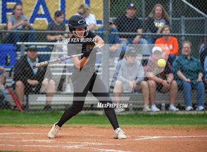 Thumbnail 2 in Klein Oak vs Klein photogallery.