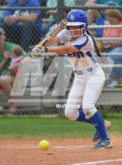 Thumbnail 2 in Klein Oak vs Klein photogallery.