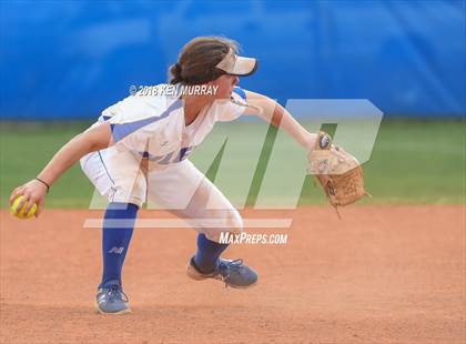 Thumbnail 3 in Klein Oak vs Klein photogallery.