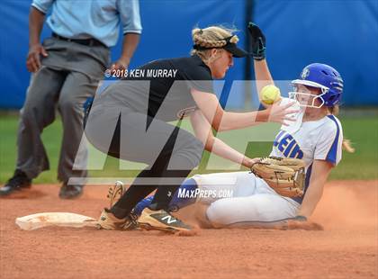 Thumbnail 2 in Klein Oak vs Klein photogallery.