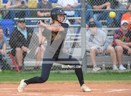 Thumbnail 2 in Klein Oak vs Klein photogallery.