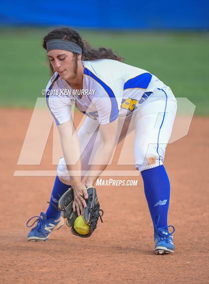 Thumbnail 2 in Klein Oak vs Klein photogallery.