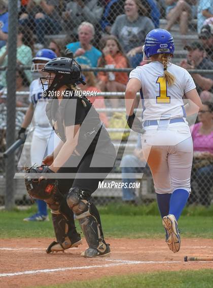Thumbnail 1 in Klein Oak vs Klein photogallery.