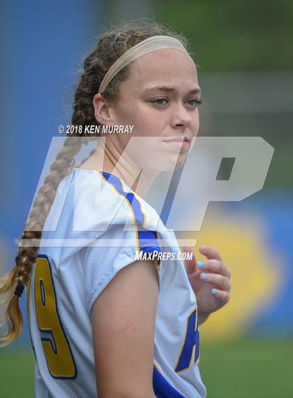 Thumbnail 2 in Klein Oak vs Klein photogallery.