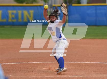 Thumbnail 1 in Klein Oak vs Klein photogallery.