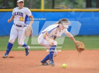 Thumbnail 1 in Klein Oak vs Klein photogallery.