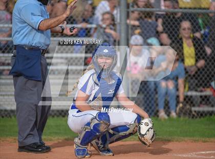 Thumbnail 1 in Klein Oak vs Klein photogallery.