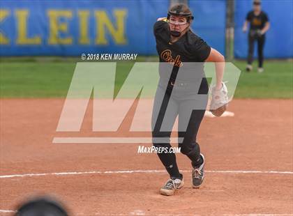 Thumbnail 1 in Klein Oak vs Klein photogallery.