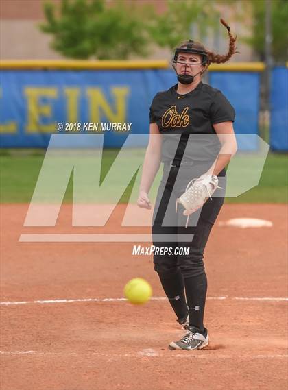 Thumbnail 2 in Klein Oak vs Klein photogallery.