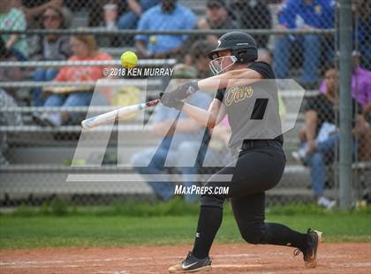 Thumbnail 2 in Klein Oak vs Klein photogallery.