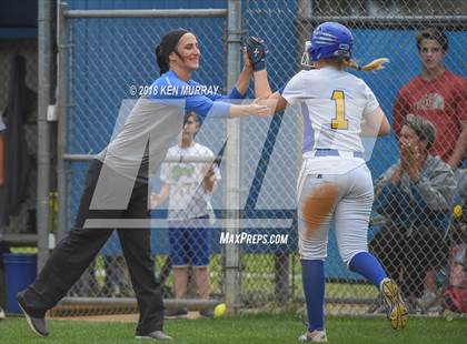 Thumbnail 2 in Klein Oak vs Klein photogallery.