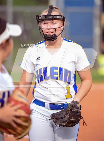 Thumbnail 1 in Klein Oak vs Klein photogallery.