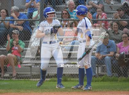 Thumbnail 1 in Klein Oak vs Klein photogallery.