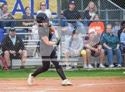 Thumbnail 1 in Klein Oak vs Klein photogallery.