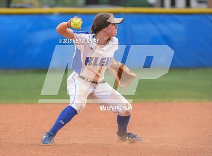 Thumbnail 2 in Klein Oak vs Klein photogallery.