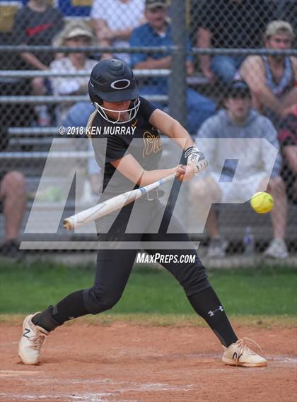 Thumbnail 2 in Klein Oak vs Klein photogallery.