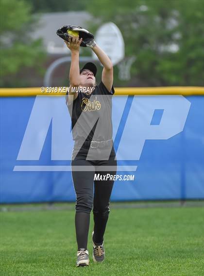 Thumbnail 1 in Klein Oak vs Klein photogallery.
