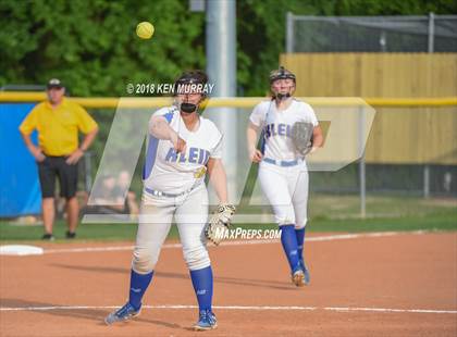 Thumbnail 2 in Klein Oak vs Klein photogallery.