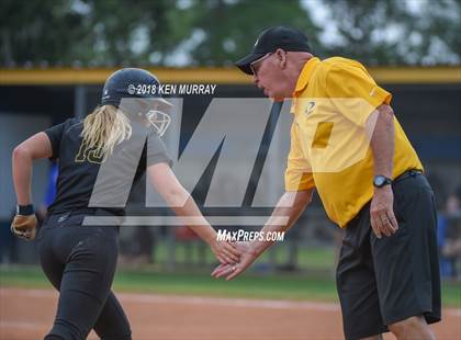 Thumbnail 2 in Klein Oak vs Klein photogallery.