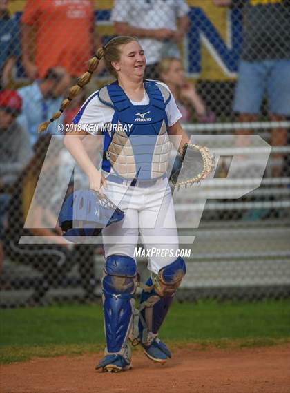 Thumbnail 2 in Klein Oak vs Klein photogallery.