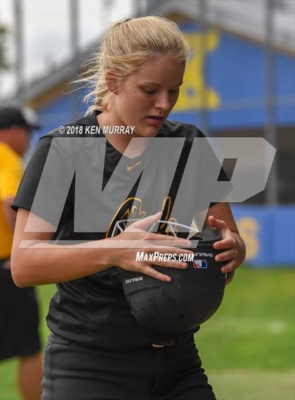 Thumbnail 2 in Klein Oak vs Klein photogallery.