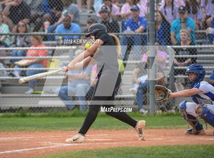 Thumbnail 3 in Klein Oak vs Klein photogallery.