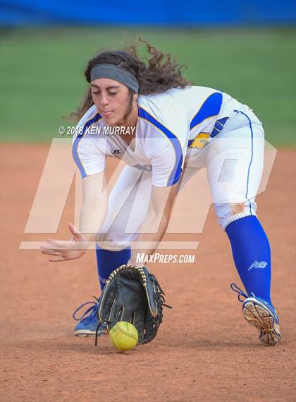 Thumbnail 1 in Klein Oak vs Klein photogallery.