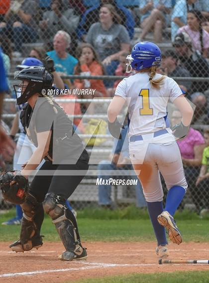 Thumbnail 2 in Klein Oak vs Klein photogallery.