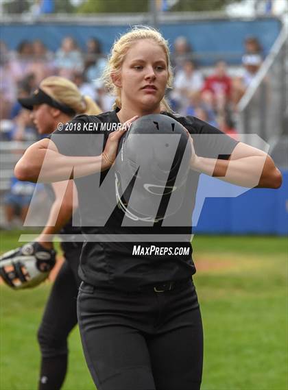 Thumbnail 1 in Klein Oak vs Klein photogallery.