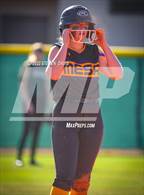 Photo from the gallery "Skyline @ Mesa"